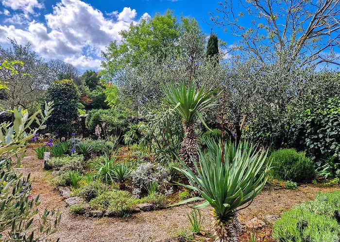 Feriehus Old Stonehouse Stari San